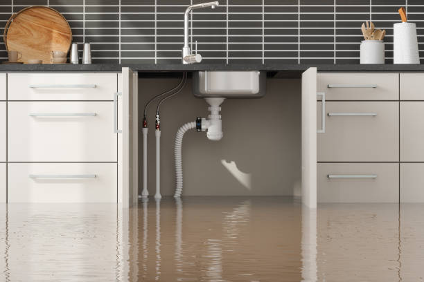 Best Flooded house restoration  in El Campo, TX